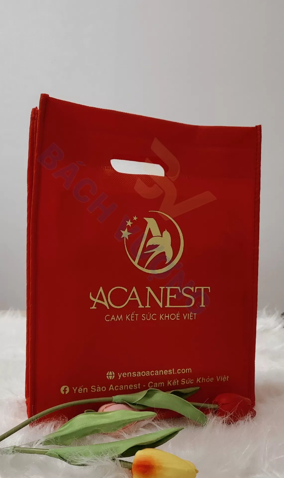 T&uacute;i vải kh&ocirc;ng dệt đục hột xo&agrave;i