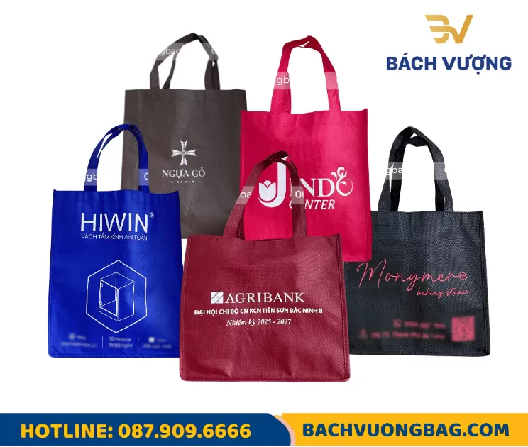 In túi vải không dệt - Bách Vượng