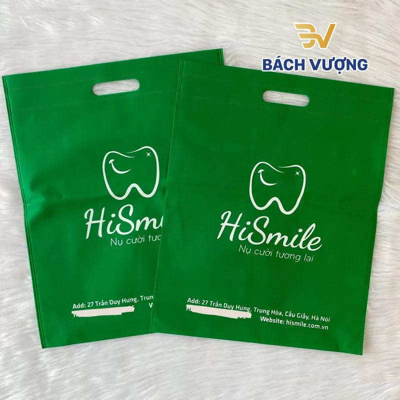 In túi vải không dệt - Bách Vượng