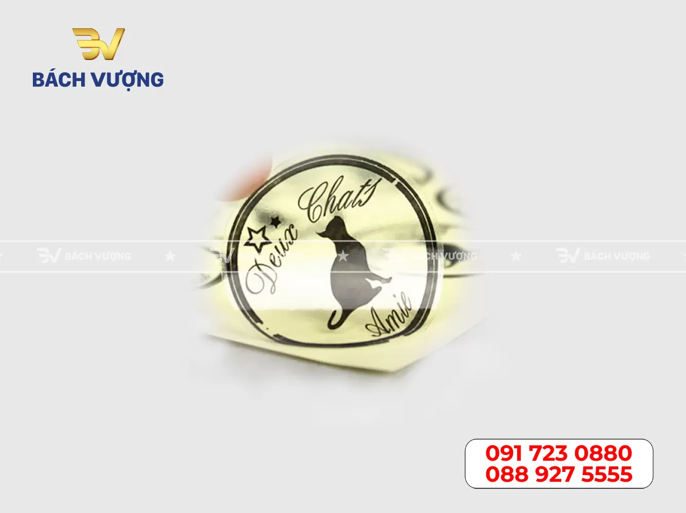 In tem decal nhựa trong