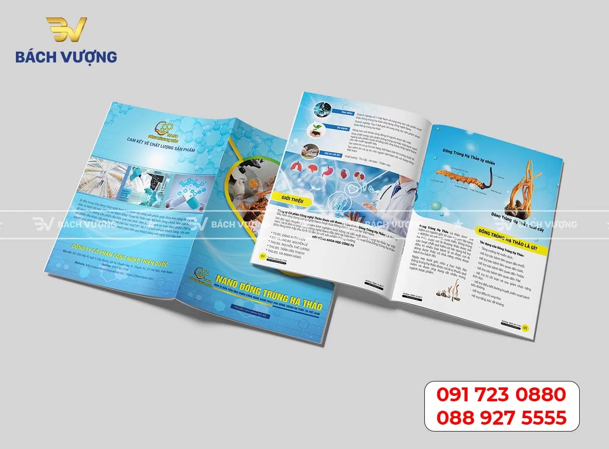 In catalogue giới thiệu sản phẩm