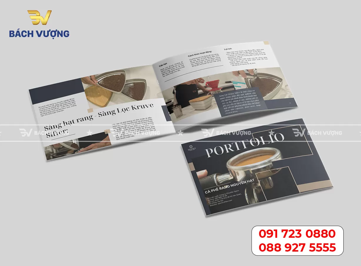 In catalogue báo cáo tài chính