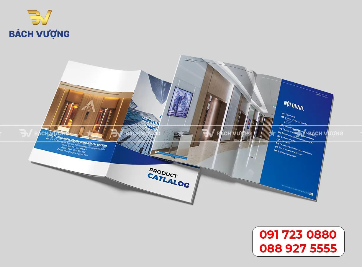 In catalogue báo cáo tài chính