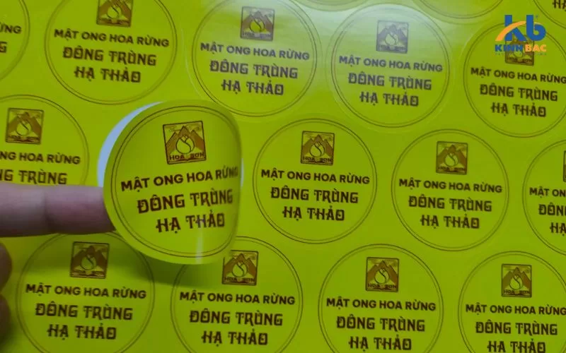 Một số mẫu tem decal giấy nổi bật 