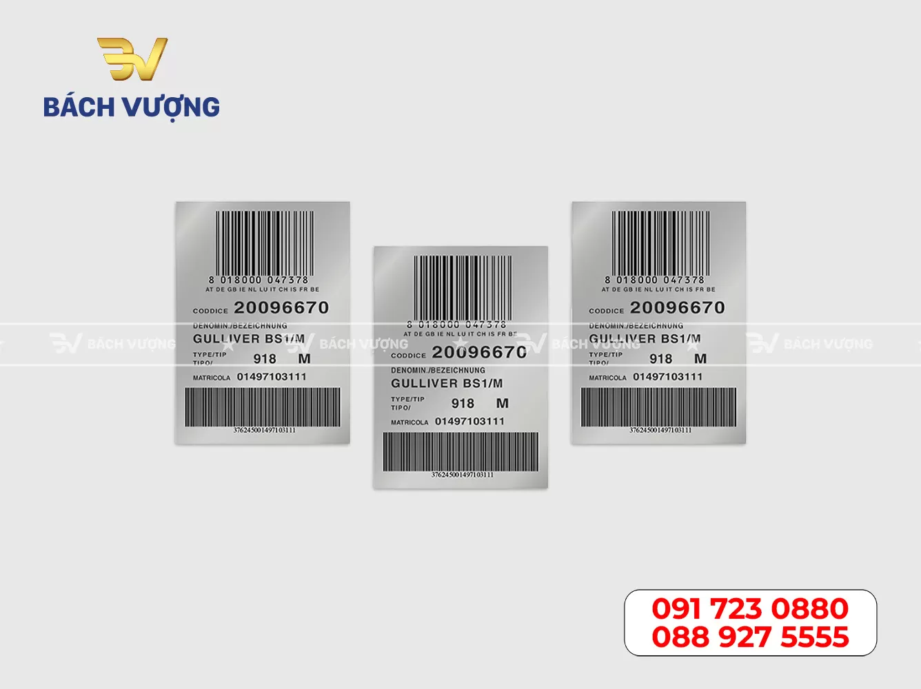 in decal thiếc giá rẻ