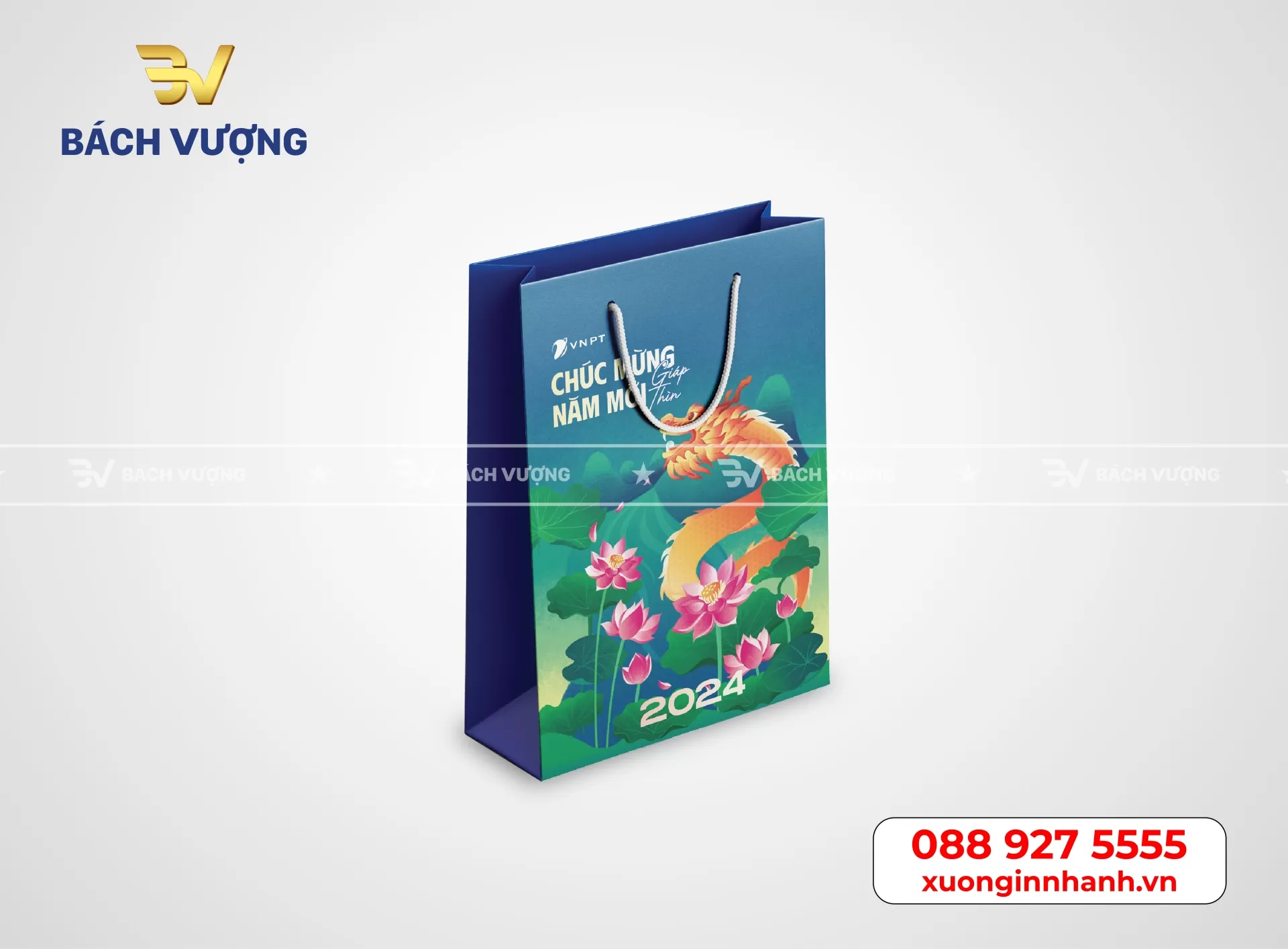 Mẫu t&uacute;i giấy tại B&aacute;ch Vượng