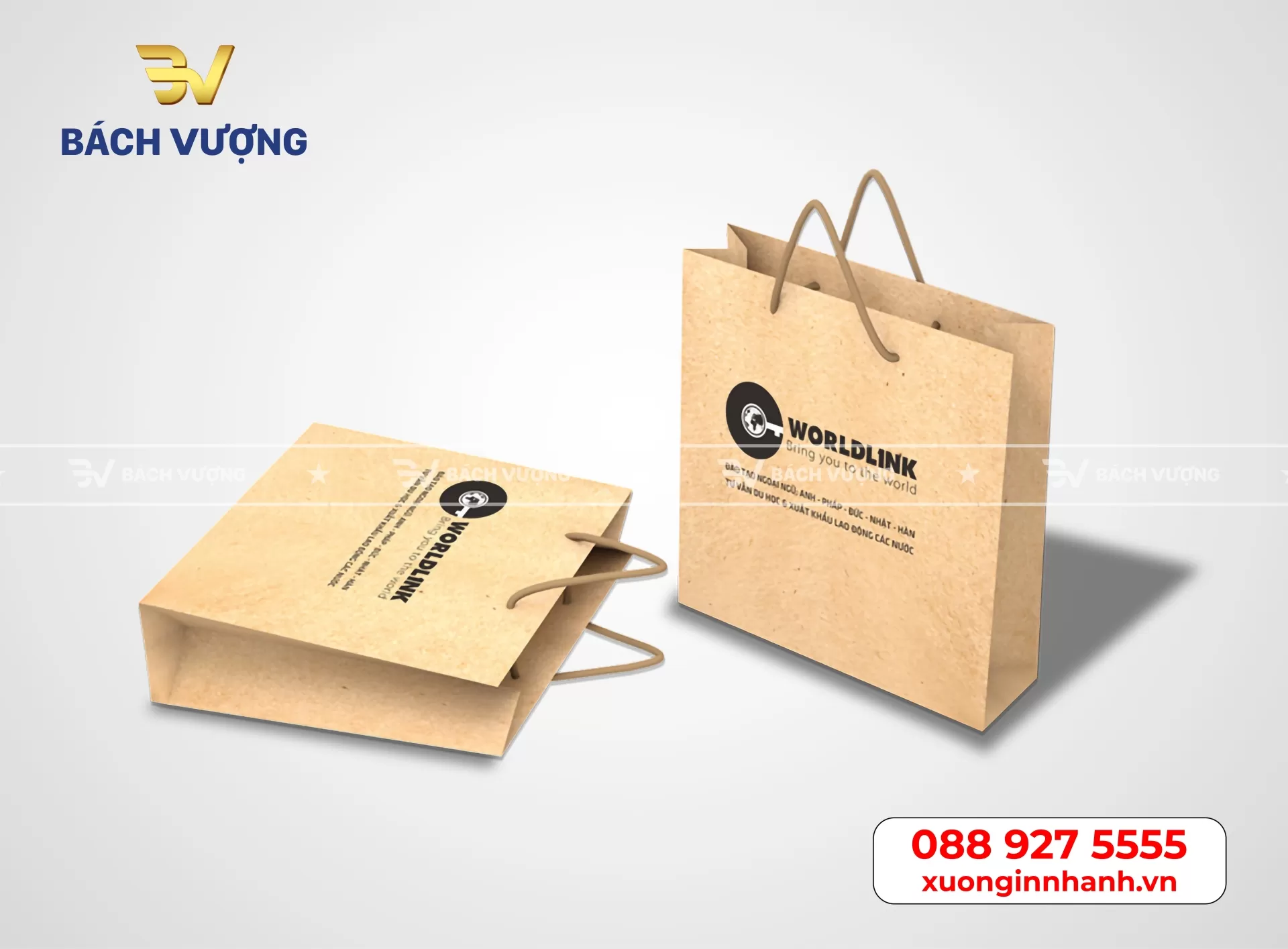 Mẫu t&uacute;i giấy Kraft tại B&aacute;ch Vượng