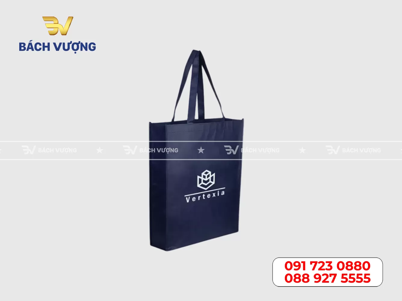 Mẫu túi vải không dệt 06