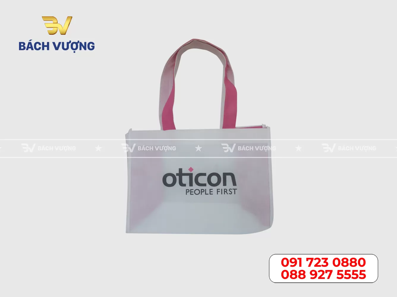 Mẫu túi vải không dệt 06