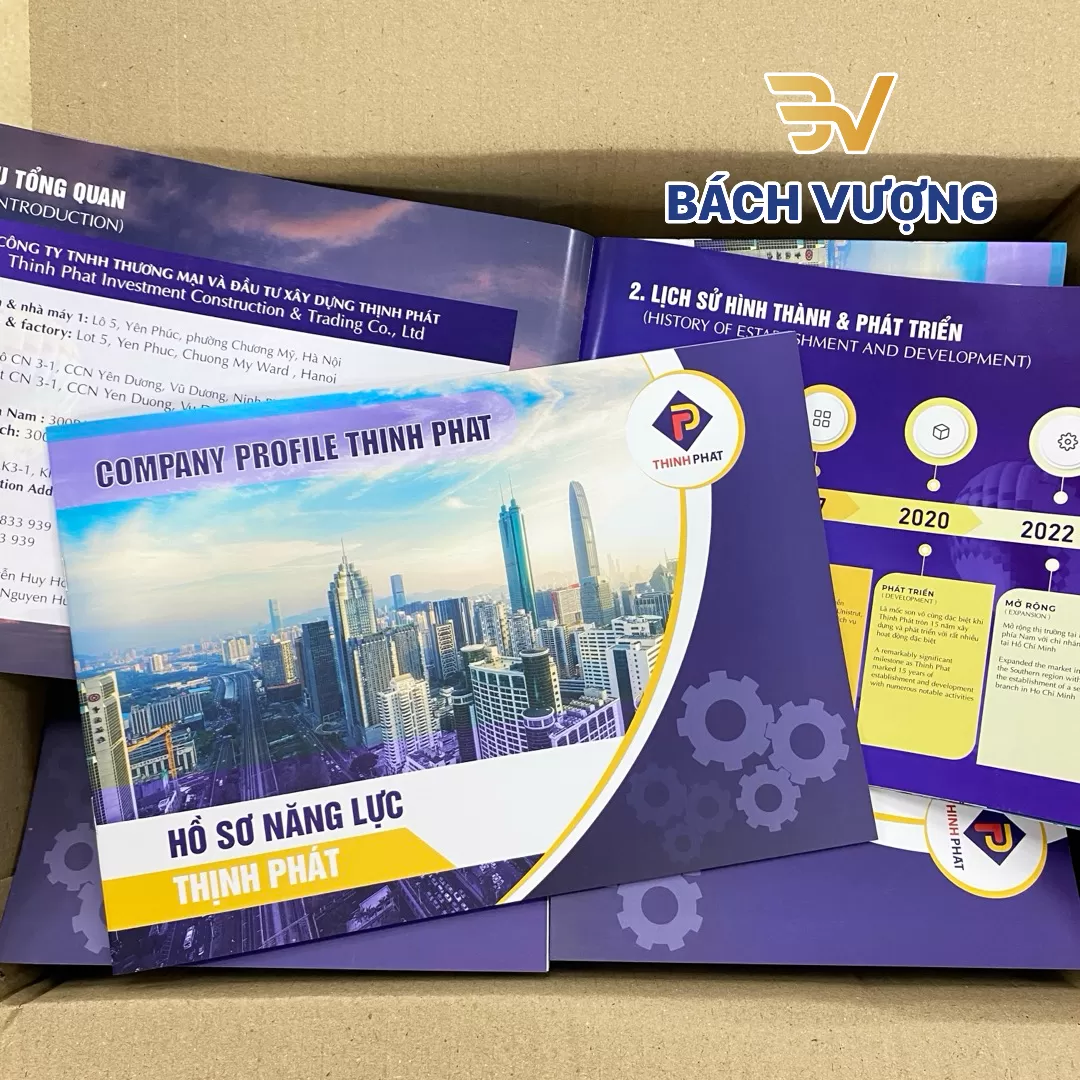 Tổng hợp mẫu hồ sơ năng lực - B&aacute;ch Vượng