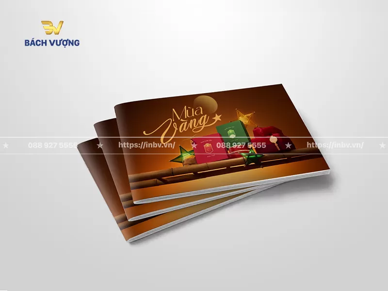 Mẫu catalogue b&aacute;nh trung thu hoạ tiết đ&egrave;n &ocirc;ng sao