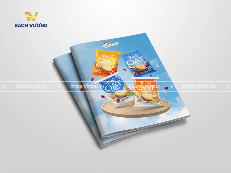 Mẫu catalogue bao b&igrave; thực phẩm b&aacute;nh yến mạch dinh dưỡng phong c&aacute;ch tươi m&aacute;t