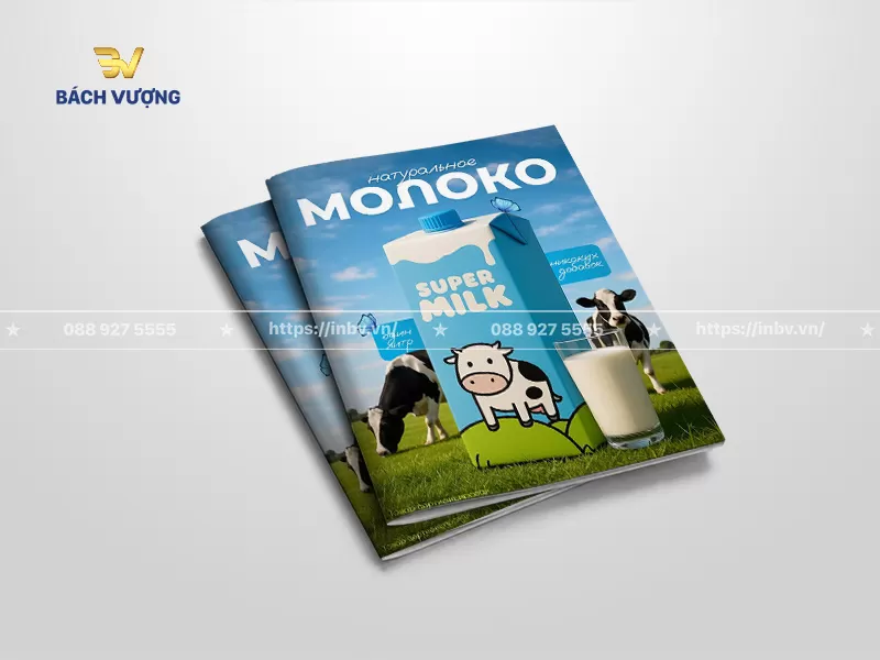 Mẫu catalogue bao b&igrave; thực phẩm sữa tươi