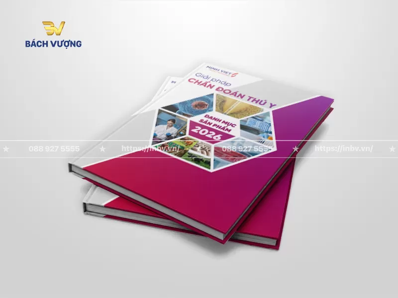 Mẫu catalogue b&igrave;a cứng giải ph&aacute;p chẩn đo&aacute;n ng&agrave;nh th&uacute; y