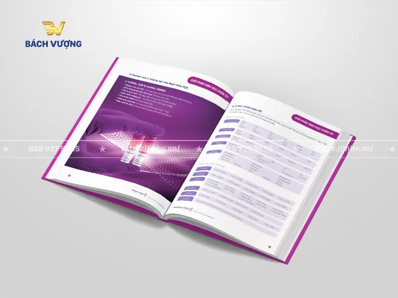 Thiết kế trang ruột mẫu catalogue b&igrave;a cứng ng&agrave;nh sinh học ph&acirc;n tử