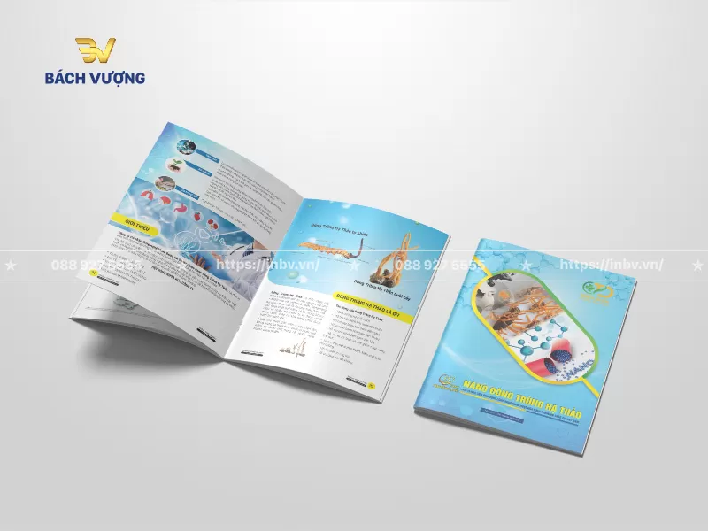 Catalogue dịch vụ chăm sóc sức khỏe