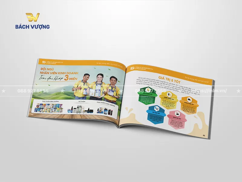 Thiết kế trang giới thiệu nh&acirc;n sự doanh nghiệp & c&aacute;c nh&oacute;m sản phẩm cốt l&otilde;i đi k&egrave;m gi&aacute; trị cốt l&otilde;i dạng sơ đồ khối của mẫu catalogue dịch vụ chăm s&oacute;c sức khỏe