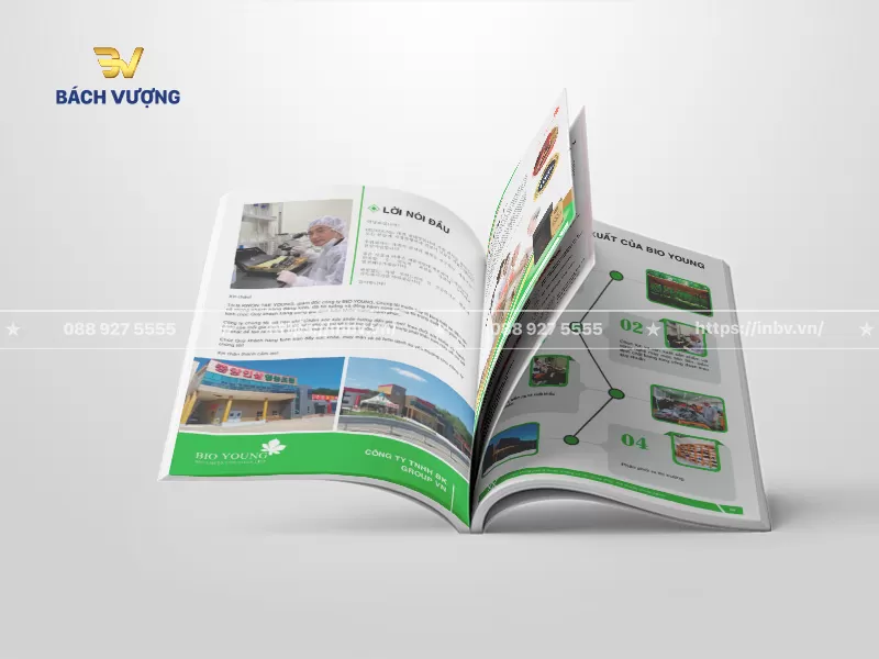 Trang nội dung mẫu catalogue dịch vụ chăm s&oacute;c sức khỏe tr&igrave;nh b&agrave;y trang trọng phần Thư ngỏ, kết hợp c&ugrave;ng h&igrave;nh ảnh chuy&ecirc;n gia trong ph&ograve;ng th&iacute; nghiệm v&agrave; nh&agrave; m&aacute;y ch&iacute;nh h&atilde;ng đi c&ugrave;ng sơ đồ quy tr&igrave;nh sản xuất kh&eacute;p k&iacute;n & h&igrave;nh ảnh thực tế
