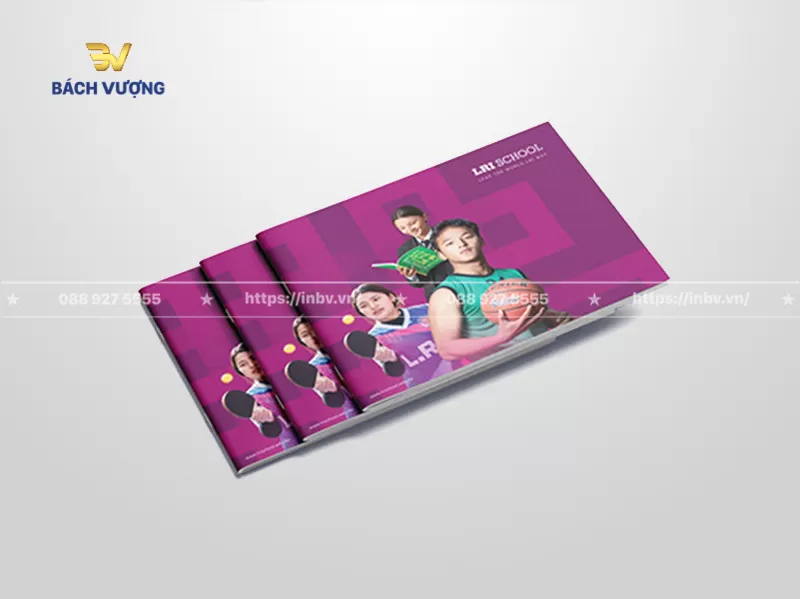 Mẫu catalogue giới thiệu trường học li&ecirc;n th&ocirc;ng 3 cấp
