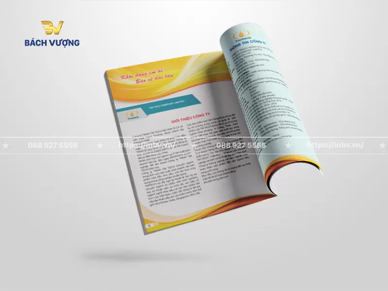 Trang giới thiệu năng lực trong catalogue giới thiệu c&ocirc;ng ty