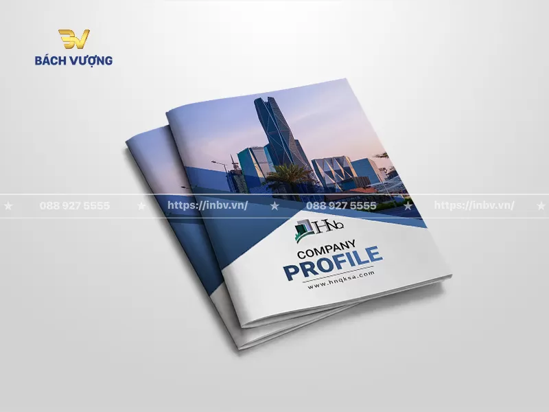 Mẫu catalogue giới thiệu c&ocirc;ng ty cao cấp khổ đứng