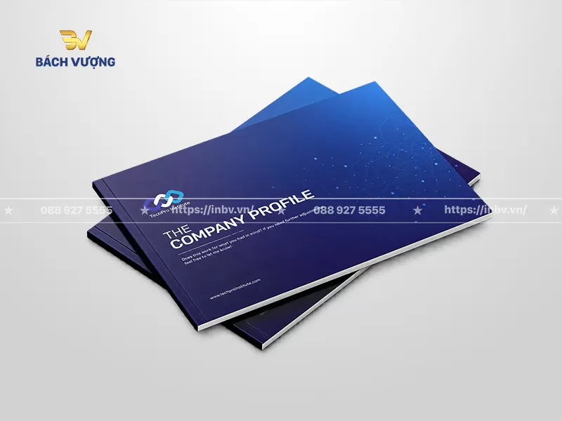 Mẫu catalogue giới thiệu c&ocirc;ng ty c&ocirc;ng nghệ phần mềm