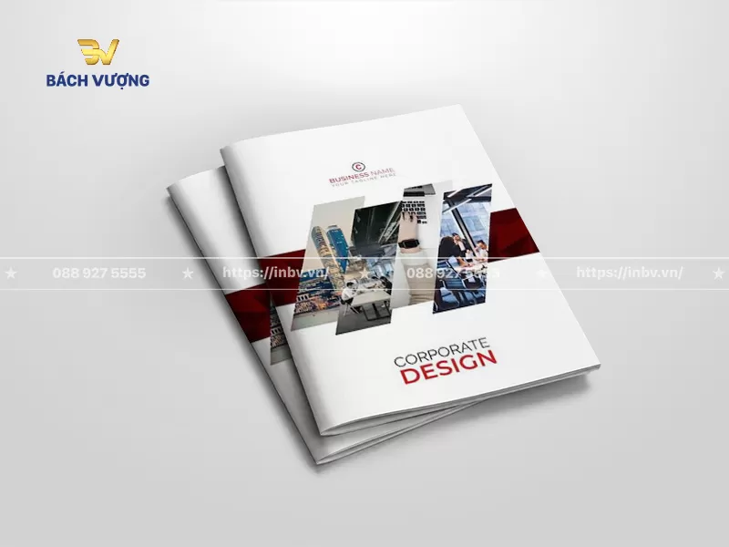 Mẫu catalogue giới thiệu c&ocirc;ng ty tư vấn doanh nghiệp