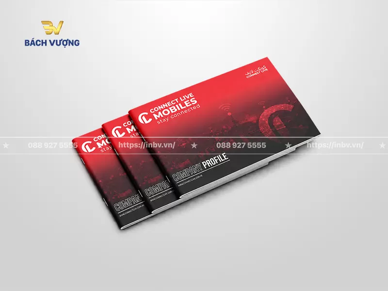 Mẫu catalogue giới thiệu c&ocirc;ng ty viễn th&ocirc;ng