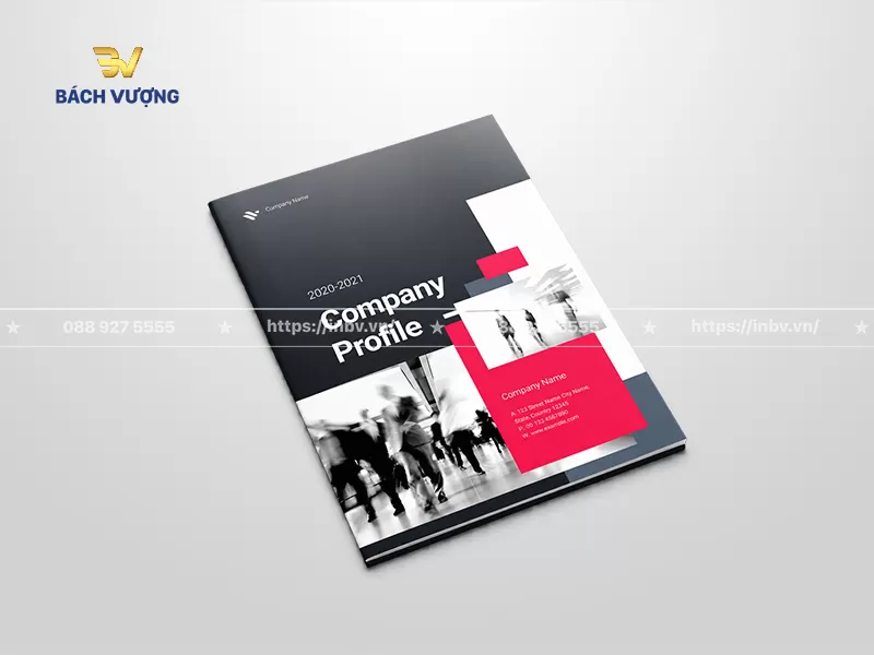 Mẫu catalogue giới thiệu dịch vụ doanh nghiệp