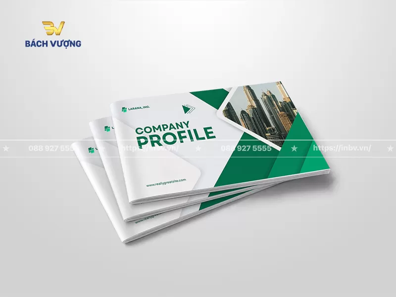 Mẫu catalogue giới thiệu doanh nghiệp bất động sản