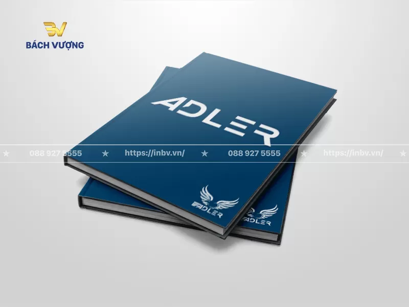 Mẫu catalogue mini A5 thương hiệu phụ kiện ng&agrave;nh cửa