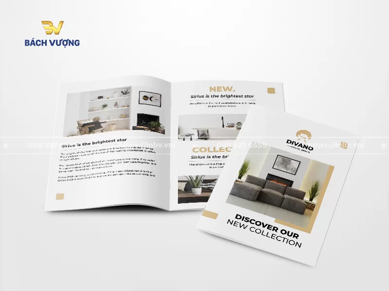 Mẫu catalogue giới thiệu bộ sưu tập sofa xu hướng mới