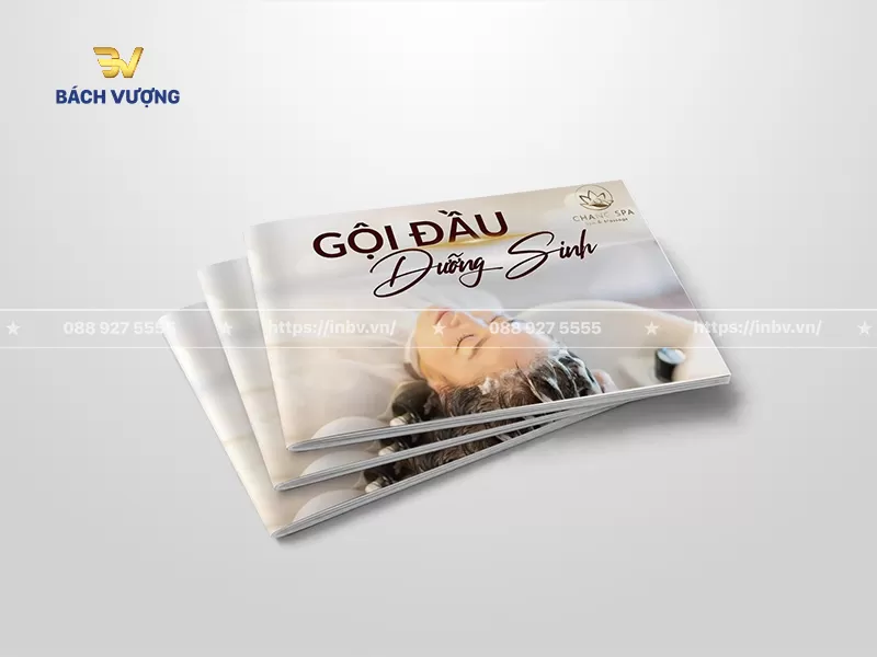 Mẫu catalogue gội đầu dưỡng sinh khổ ngang