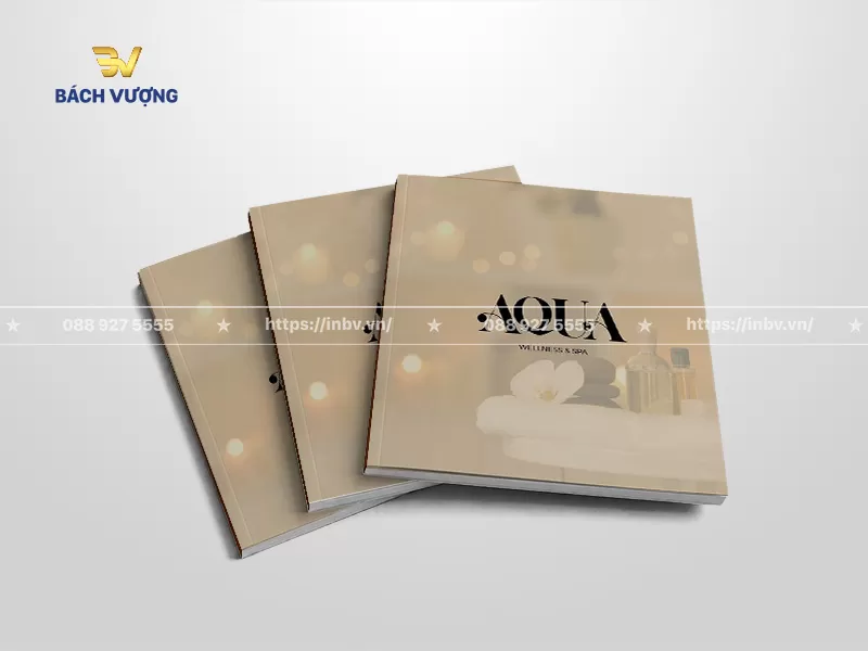 mẫu catalogue spa t&ocirc;ng m&agrave;u beige trang nh&atilde;