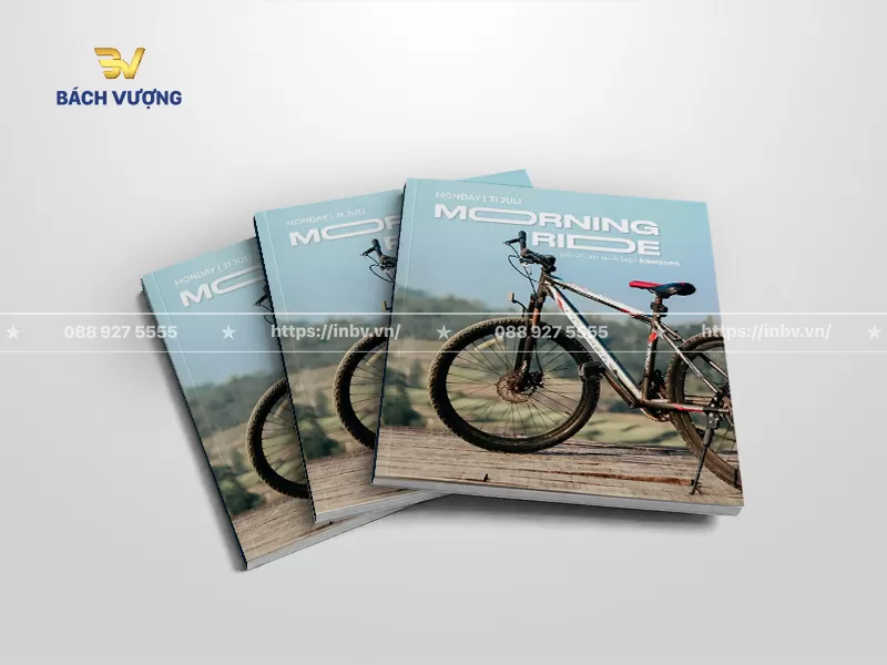 mẫu catalogue xe đạp d&atilde; ngoại v&agrave; đường phố bối cảnh thi&ecirc;n nhi&ecirc;n tone xanh pastel