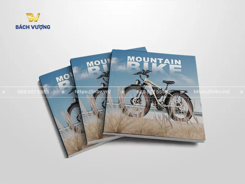 mẫu catalogue xe đạp địa h&igrave;nh bối cảnh đồng cỏ dưới bầu trời xanh ngập nắng