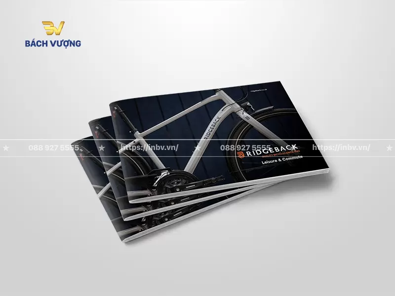mẫu catalogue xe đạp khổ ngang nền gỗ tối m&agrave;u