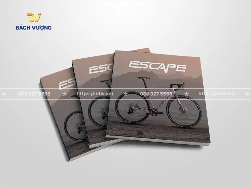 mẫu catalogue xe đạp thể thao tone trầm, tối giản với khung cảnh thi&ecirc;n nhi&ecirc;n