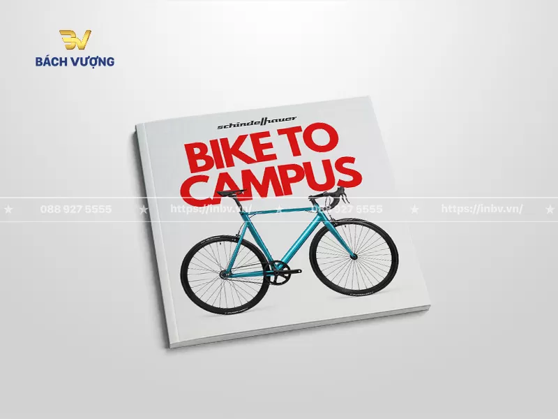 mẫu catalogue xe đạp trẻ trung phong c&aacute;ch học đường