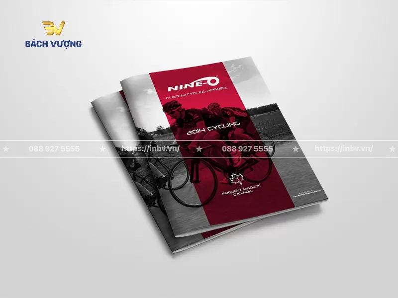 Catalogue xe đạp