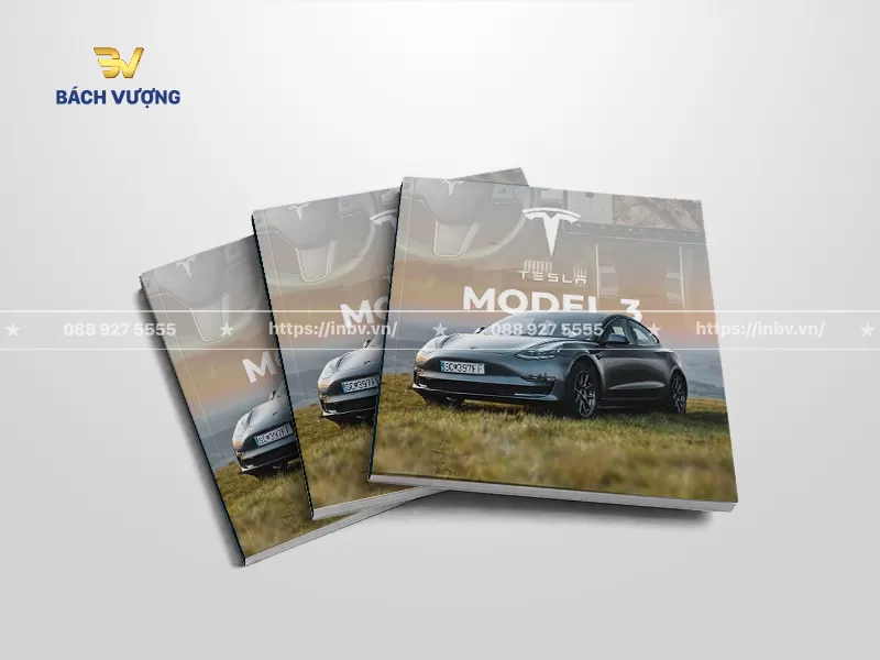 Catalogue xe ô tô