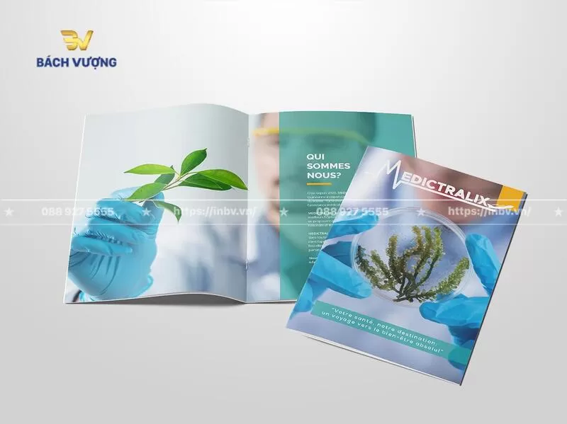 Mẫu catalogue y tế giới thiệu th&agrave;nh phần dược phẩm