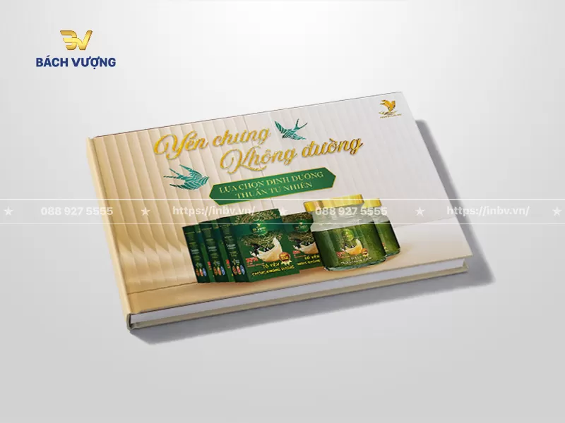 mẫu catalogue yến s&agrave;o dạng b&igrave;a cứng keo g&aacute;y kết hợp nền v&agrave;ng kem sọc dọc thanh lịch v&agrave; c&aacute;c chi tiết m&agrave;u xanh mint tươi m&aacute;t