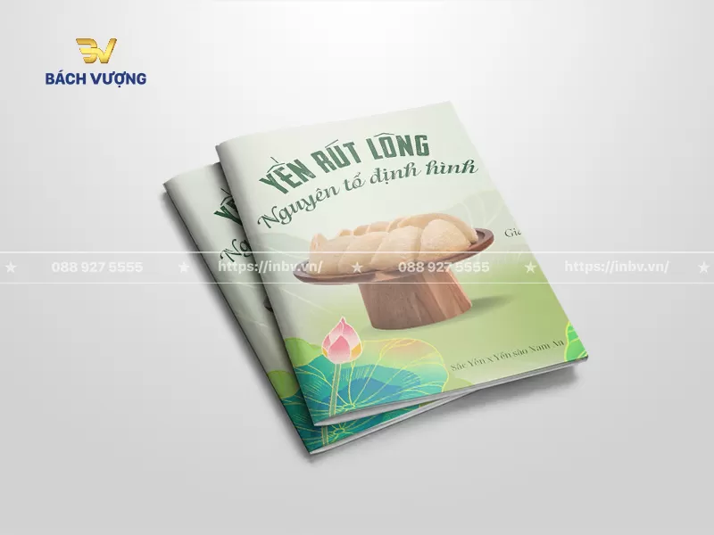 mẫu catalogue yến s&agrave;o dạng ghim giữa phong c&aacute;ch thiết kế thanh tao, mộc mạc kết hợp nền trắng v&agrave; sắc xanh l&aacute; nhạt dịu m&aacute;t
