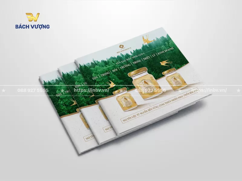 mẫu catalogue yến s&agrave;o d&aacute;ng ngang thiết kế phong c&aacute;ch thi&ecirc;n nhi&ecirc;n xanh m&aacute;t, sang trọng