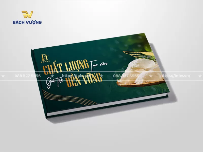 mẫu catalogue yến s&agrave;o khổ ngang b&igrave;a cứng nền xanh lục bảo cận h&igrave;nh ảnh tai yến th&ocirc; nguy&ecirc;n chất