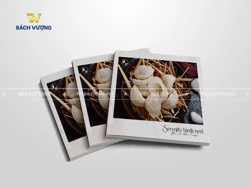 mẫu catalogue yến s&agrave;o khổ vu&ocirc;ng với h&igrave;nh ảnh chụp cận cảnh tai yến th&ocirc; trong khay gỗ l&oacute;t rơm mộc mạc