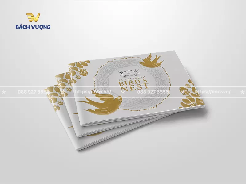mẫu catalogue yến s&agrave;o nền trắng phối v&agrave;ng gold tối giản, thanh lịch với điểm nhấn l&agrave; họa tiết h&igrave;nh tổ yến bao bọc lấy t&ecirc;n & logo thương hiệu