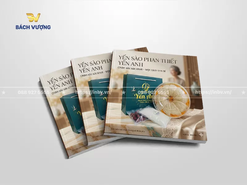 mẫu catalogue yến s&agrave;o phong c&aacute;ch qu&agrave; tặng sức khỏe ấm &aacute;p, sang trọng