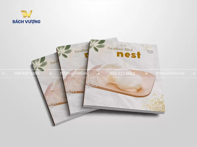 mẫu catalogue yến s&agrave;o phong c&aacute;ch tối giản nền trắng
